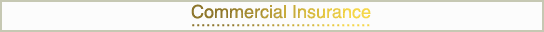 Commercial Insurance